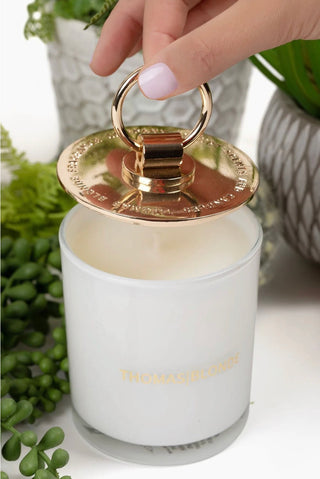 Topless Blonde Candle - Joshua Tree-Candle-Thomas Blonde-The Twisted Chandelier