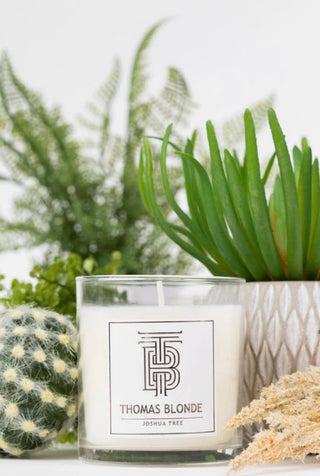 Joshua Tree Candle-Candle-Thomas Blonde-The Twisted Chandelier