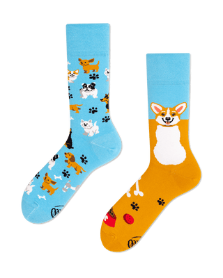 Playful Dog Socks-Socks-Many Mornings-The Twisted Chandelier
