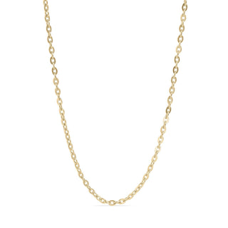 18K Gold PVD Stainless Steel Flat Oval Loop Chain-Stainless Steel Charm-WJW-The Twisted Chandelier